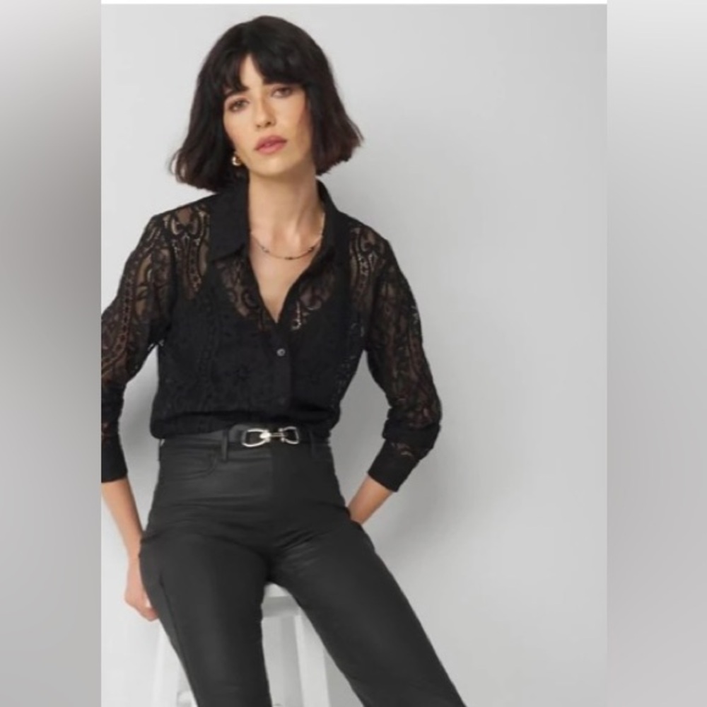 Heart Of Palm Dress Shirt L
